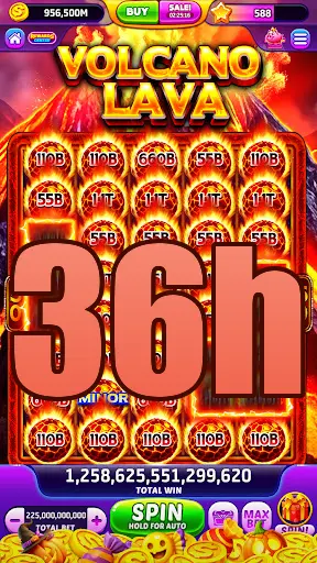 36h Login