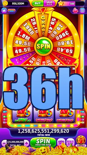 36h Login